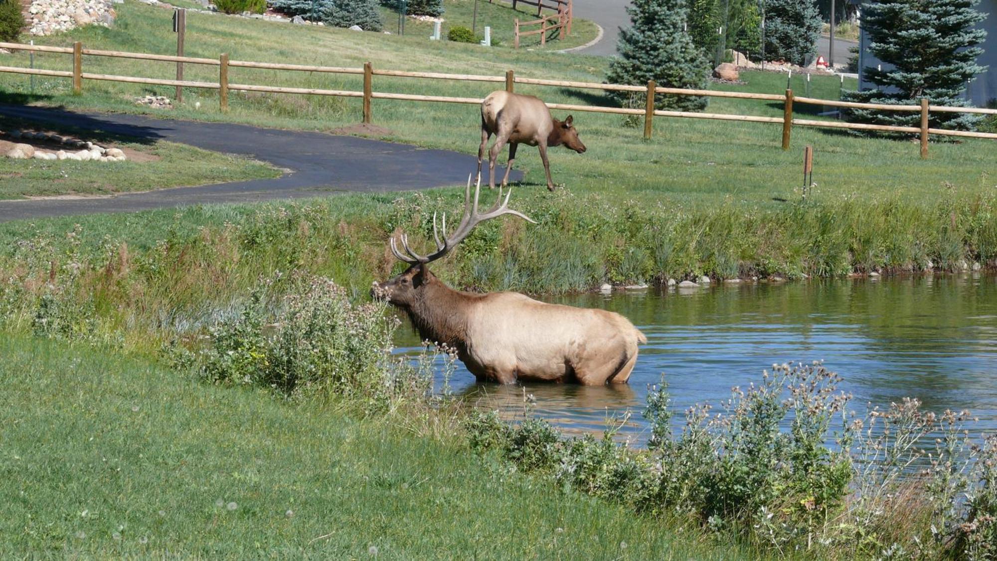 Discovery Lodge Estes Park Exterior photo