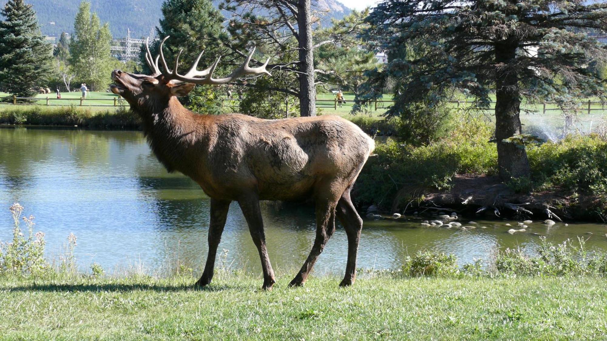 Discovery Lodge Estes Park Exterior photo